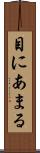 目にあまる Scroll