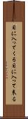 目に入ってくる Scroll