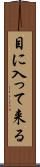 目に入って来る Scroll