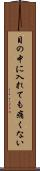 目の中に入れても痛くない Scroll