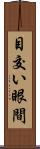 目交い Scroll