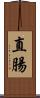 直腸 Scroll