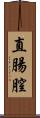 直腸膣 Scroll