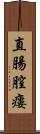 直腸膣瘻 Scroll