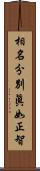 相名分別眞如正智 Scroll