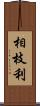 相枝利 Scroll