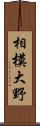 相模大野 Scroll