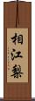 相江梨 Scroll