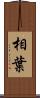 相葉 Scroll