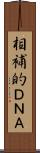 相補的ＤＮＡ Scroll