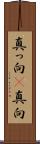 真っ向(P) Scroll