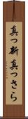 真っ新 Scroll