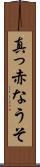 真っ赤なうそ Scroll