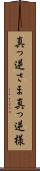 真っ逆さま Scroll