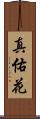 真佑花 Scroll