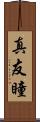 真友瞳 Scroll