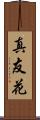 真友花 Scroll