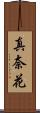 真奈花 Scroll