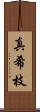 真希枝 Scroll