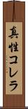 真性コレラ Scroll