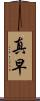 真早 Scroll