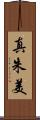 真朱美 Scroll