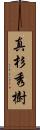真杉秀樹 Scroll