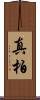 真柏 Scroll
