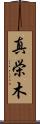 真栄木 Scroll