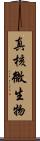 真核微生物 Scroll