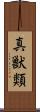 真獣類 Scroll