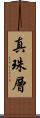 真珠層 Scroll