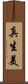 真生美 Scroll