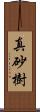 真砂樹 Scroll