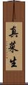 真菜生 Scroll