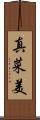 真菜美 Scroll