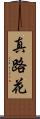 真路花 Scroll