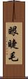 眼睫毛 Scroll