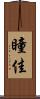 瞳佳 Scroll