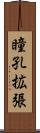 瞳孔拡張 Scroll
