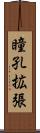 瞳孔拡張 Scroll