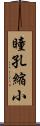 瞳孔縮小 Scroll