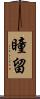 瞳留 Scroll