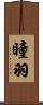 瞳羽 Scroll