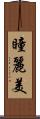瞳麗美 Scroll