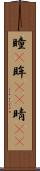 瞳(P) Scroll