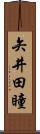 矢井田瞳 Scroll