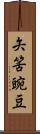 矢筈豌豆 Scroll
