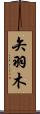 矢羽木 Scroll
