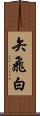 矢飛白 Scroll